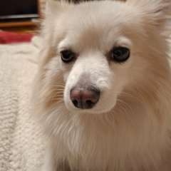 Фото отзыва 10969569