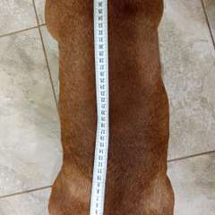 Фото отзыва 8273608