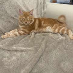 Фото отзыва 10485707