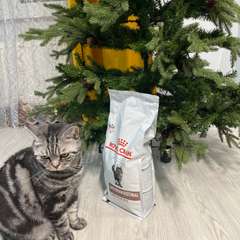 Фото отзыва 10939673