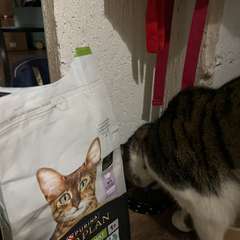 Фото отзыва 10728045