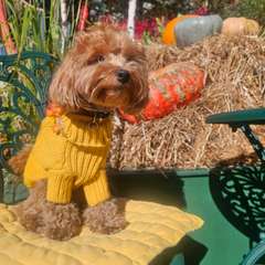 Фото отзыва 10567194