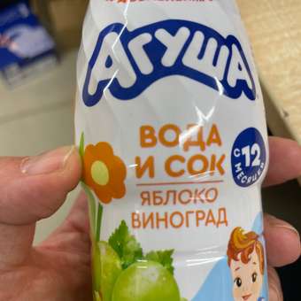 Вода с соком Агуша Садовые ягоды 0.3л 12месяцев: отзыв пользователя Детский Мир
