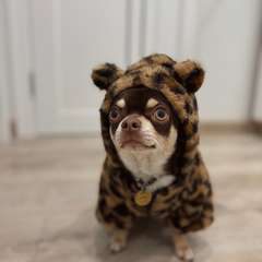 Фото отзыва 10540641