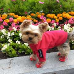 Фото отзыва 9725736