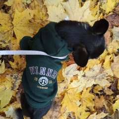 Фото отзыва 10525411