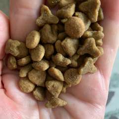 Фото отзыва 11089127