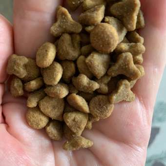 Корм для кошек ROYAL CANIN Sensible 33 взрослых с чувствительной пищеварительной системой сухой 1.2кг: отзыв пользователя. Зоомагазин Зоозавр