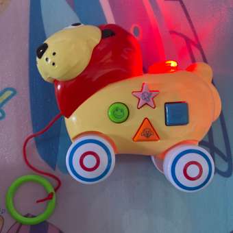 Игрушка BabyGo каталка Лев: отзыв пользователя ДетМир