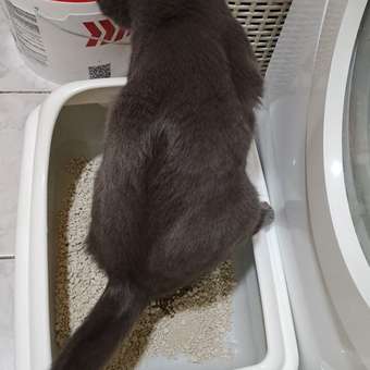 Туалет для кошек Gamma Волна Серо-белый: отзыв пользователя. Зоомагазин Зоозавр