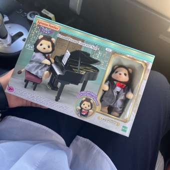Игровой набор SYLVANIAN FAMILIES TOWN Series: отзыв пользователя Детский Мир