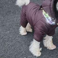 Фото отзыва 10712552