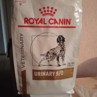 Корм для собак ROYAL CANIN Veterinary Diet Urinary S/O LP 18 при заболеваниях дистального отдела мочевыделительной системы 2кг: отзыв пользователя. Зоомагазин Зоозавр