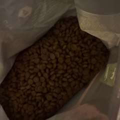 Фото отзыва 10724710