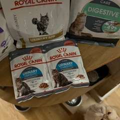 Фото отзыва 10974298