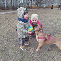 Фото отзыва 11267518