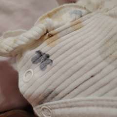 Фото отзыва 10633375