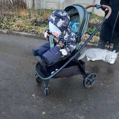 Фото отзыва 10650514