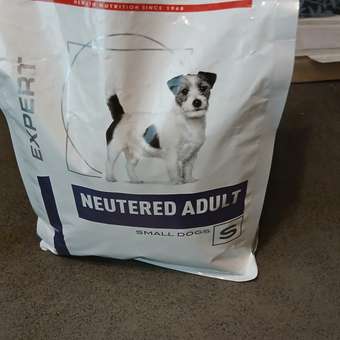 Корм для собак ROYAL CANIN Ньютрид Эдалт Смол Догз 0.8кг: отзыв пользователя. Зоомагазин Зоозавр