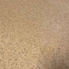 Видео отзыва 10525209