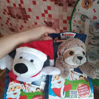 Подарок Kinder Микс 137,5 г с игрушкой в ассортименте: отзыв пользователя Детский Мир