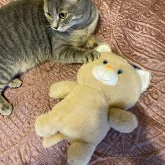 Фото отзыва 10683375