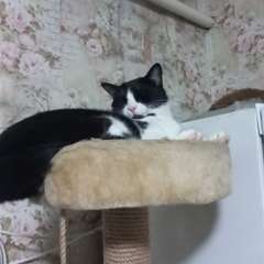 Фото отзыва 10659936