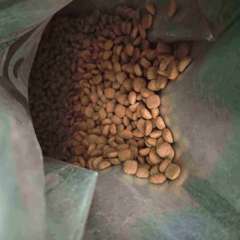 Фото отзыва 10291711