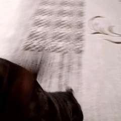 Видео отзыва 10828453