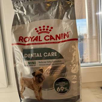 Корм для собак ROYAL CANIN Mini Dental мелких пород предрасположенных к образованию зубного камня 3кг: отзыв пользователя. Зоомагазин Зоозавр