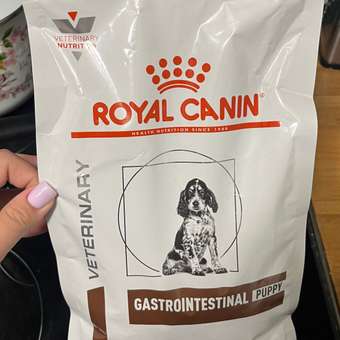 Корм для щенков ROYAL CANIN Gastro Intestinal Junior GIJ29 при нарушениях пищеварения 1кг: отзыв пользователя. Зоомагазин Зоозавр