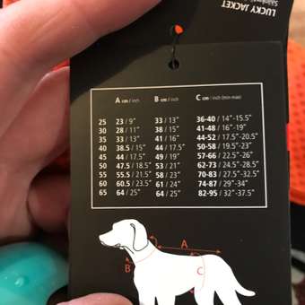 Куртка для собак RUKKA PETS 55 Оранжевый 560513525JV45055: отзыв пользователя. Зоомагазин Зоозавр