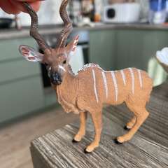 Фото отзыва 11070085