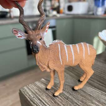 Фигурка Детское Время Антилопа самец: отзыв пользователя Детский Мир
