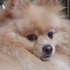 Фото отзыва 10941264