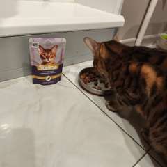 Фото отзыва 10951590