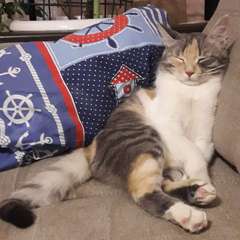 Фото отзыва 10647577