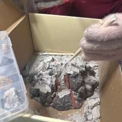 Фото отзыва 10957659