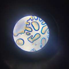 Фото отзыва 11307979