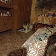 Фото отзыва 10319049