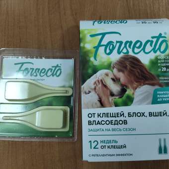 Капли для собак Астрафарм Форсекто Инсектоакарицидные 20-30кг 2пипетки: отзыв пользователя. Зоомагазин Зоозавр