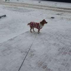 Фото отзыва 10873420