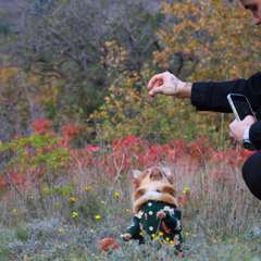 Фото отзыва 10648009