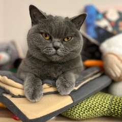 Фото отзыва 10731286