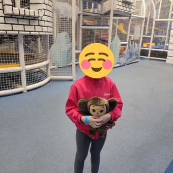 Мягкая игрушка Мульти Пульти Чебурашка: отзыв пользователя Детский Мир