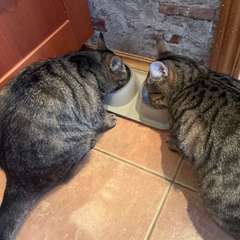 Фото отзыва 10753099