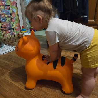 Фитбол Altacto: отзыв пользователя Детский Мир