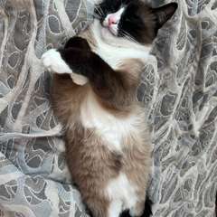 Фото отзыва 10796482