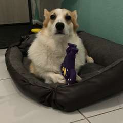 Фото отзыва 10647837