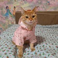 Фото отзыва 10626297